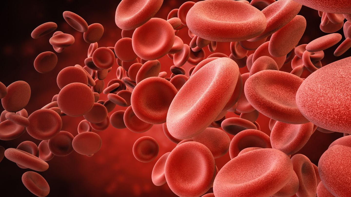 Blood Flow and Cardiovascular Health